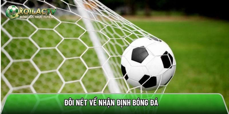 Tổng quan về nhận định bóng đá